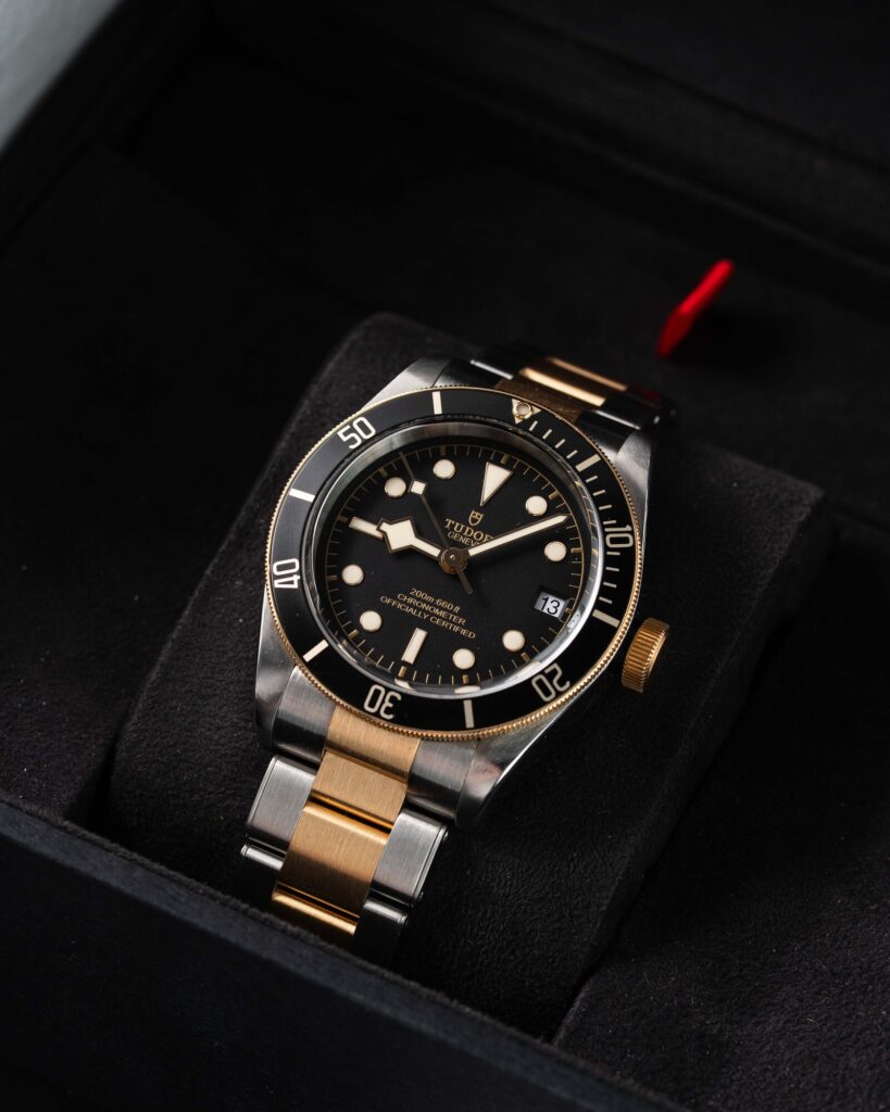 Tudor Black Bay S&g 79733N 2018