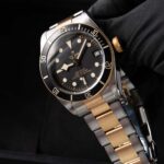 Tudor Black Bay S&g 79733N 2018
