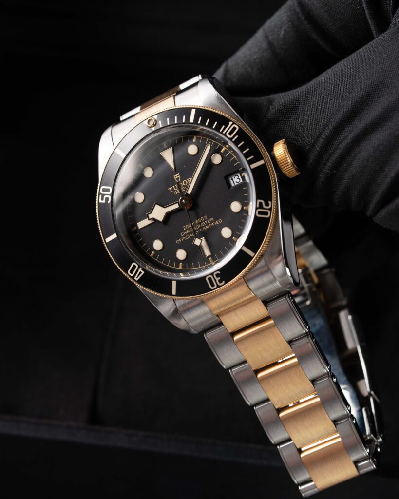 Tudor Black Bay S&g 79733N 2018