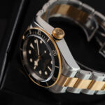 Tudor Black Bay S&g 79733N 2018