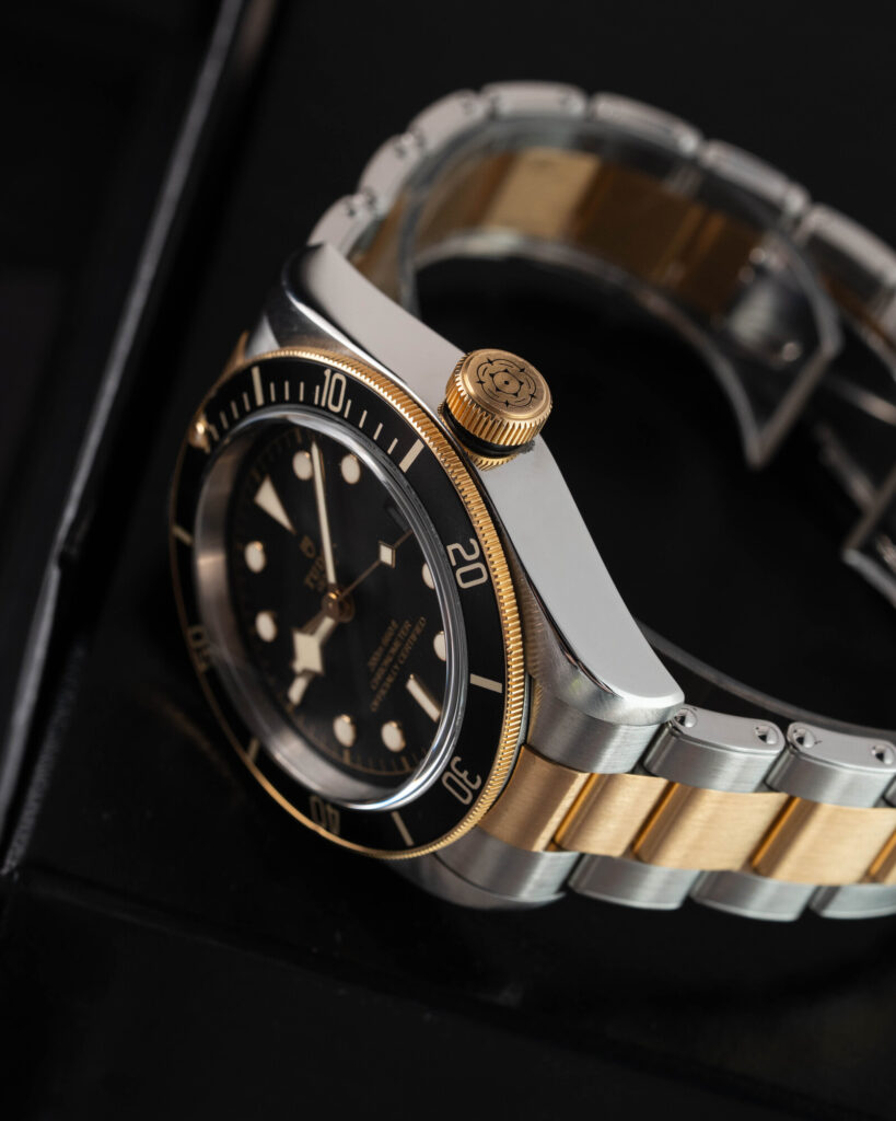 Tudor Black Bay S&g 79733N 2018