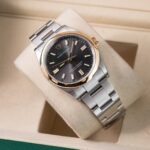 Rolex Oyster Perpetual 126003 2026