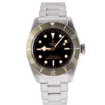Tudor Black Bay 79230G 2024