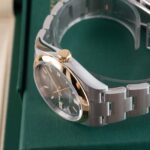 Rolex Oyster Perpetual 126003 2026