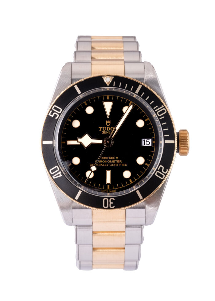 Tudor Black Bay S&g 79733N 2023