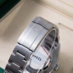 Rolex Oyster Perpetual 134300 2026