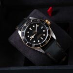 Tudor Black Bay 79733N 2022