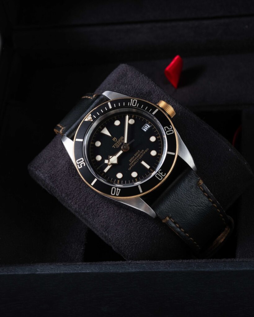 Tudor Black Bay 79733N 2022