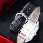 Cartier Santos Dumont Steel WSSA0046 2024