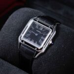 Cartier Santos Dumont Steel WSSA0046 2024