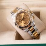 Rolex Daytona 116503 2021