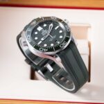 Omega Seamaster 210.32.42.20.10.001 2025