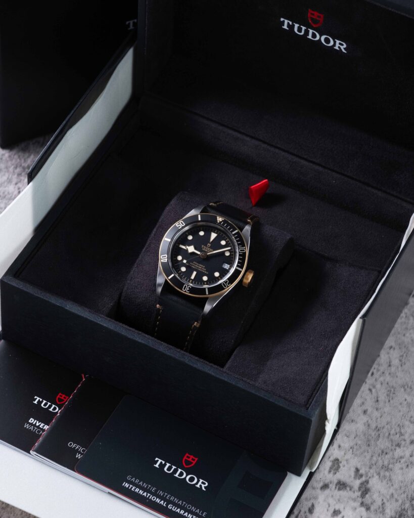 Tudor Black Bay 79733N 2022