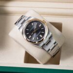 Rolex Oyster Perpetual 126003 2026
