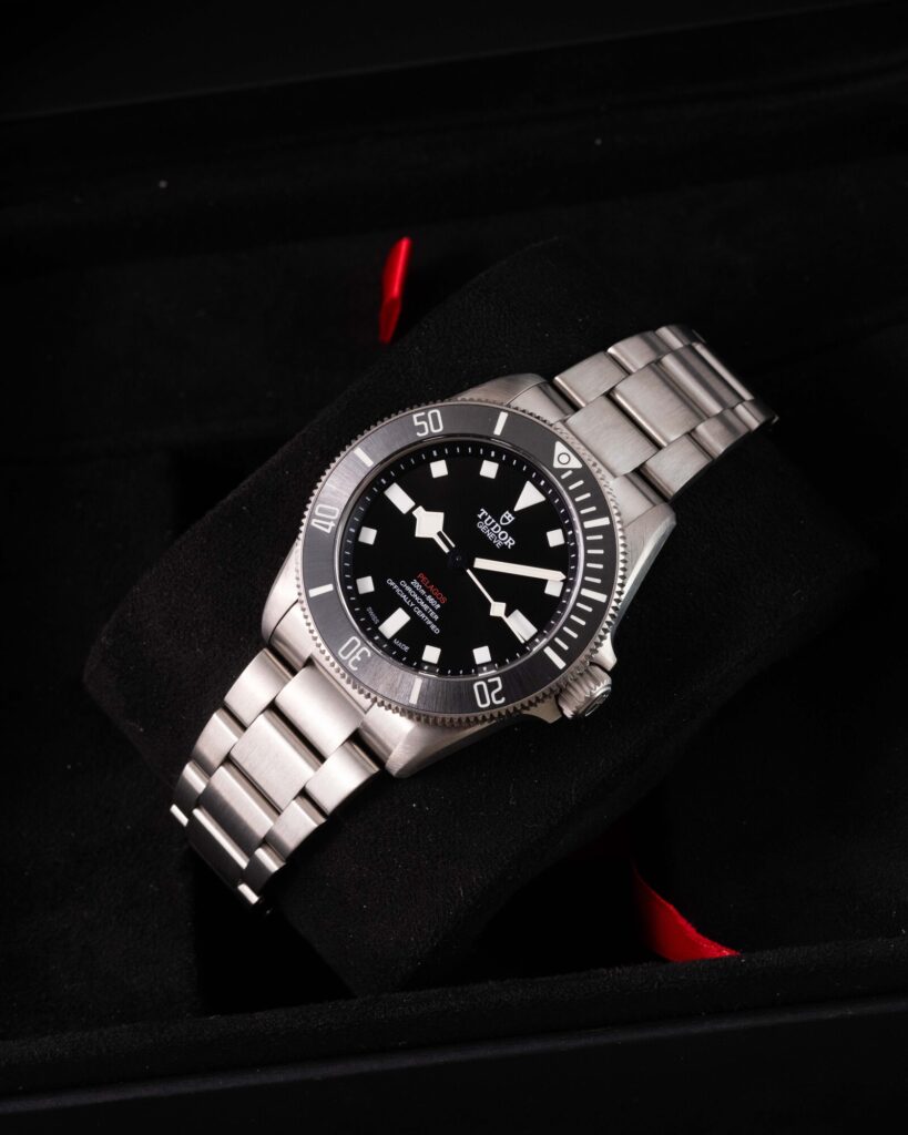 Tudor Pelagos 25407N 2023