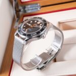 Omega Seamaster Diver 300M 210.30.42.20.01.018 2026