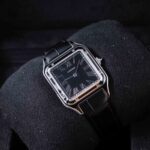 Cartier Santos Dumont Steel WSSA0046 2024