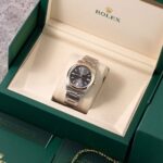 Rolex Oyster Perpetual 126003 2026
