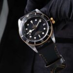 Tudor Black Bay 79733N 2022
