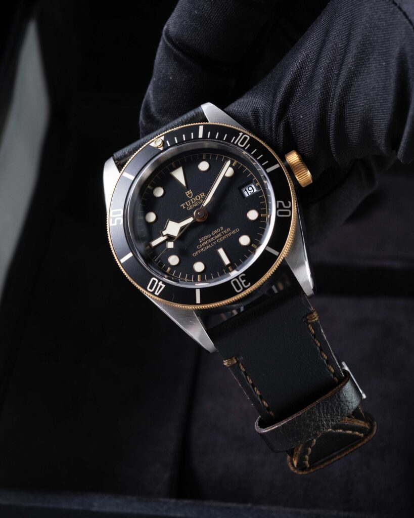 Tudor Black Bay 79733N 2022
