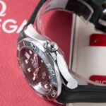 Omega Seamaster 210.32.42.20.10.001 2025