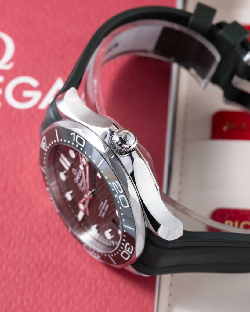 Omega Seamaster 210.32.42.20.10.001 2025