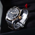 Tudor Black Bay 79733N 2022