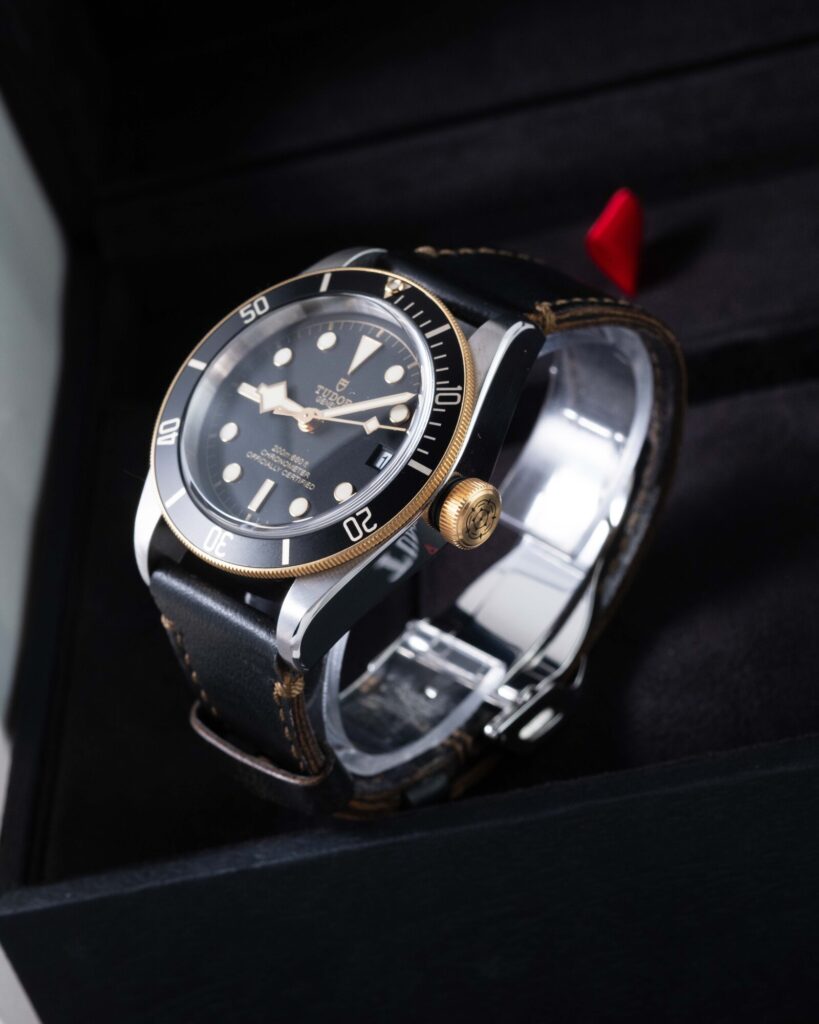 Tudor Black Bay 79733N 2022