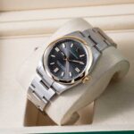 Rolex Oyster Perpetual 126003 2026
