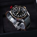 Tudor Black Bay 79733N 2022
