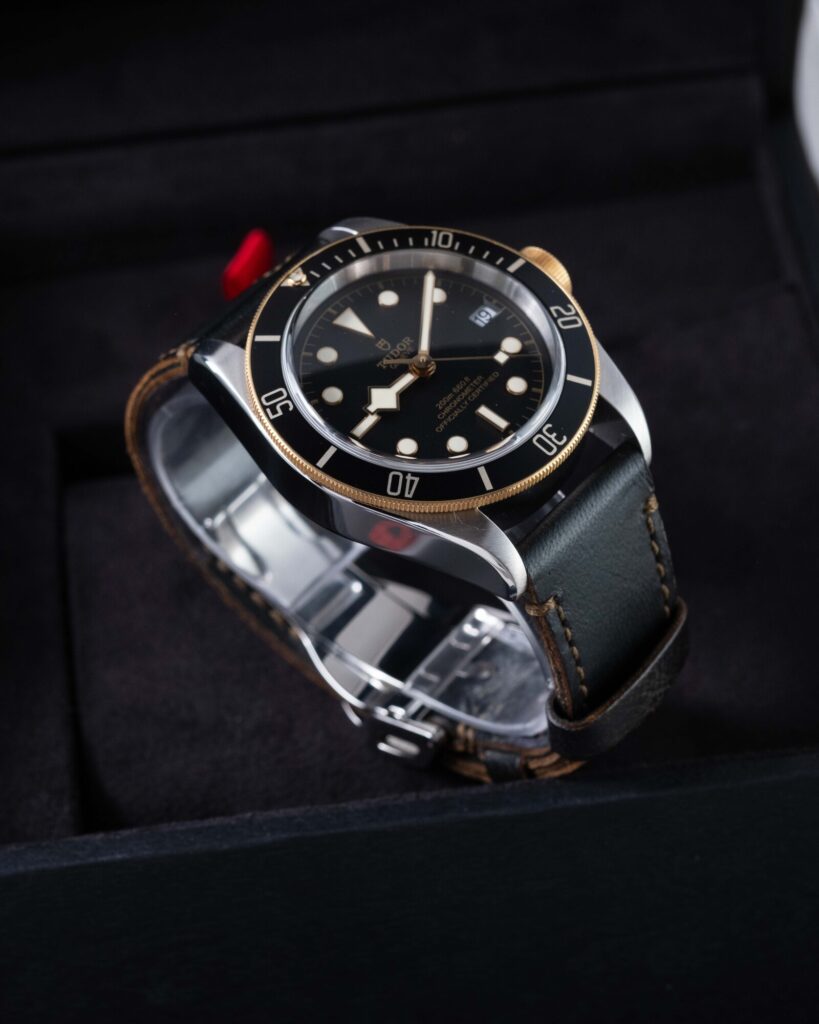 Tudor Black Bay 79733N 2022
