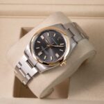 Rolex Oyster Perpetual 126003 2026