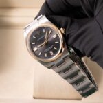 Rolex Oyster Perpetual 126003 2026