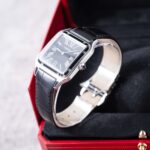 Cartier Santos Dumont Steel WSSA0046 2024