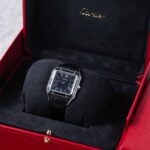 Cartier Santos Dumont Steel WSSA0046 2024