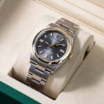 Rolex Oyster Perpetual 126003 2026