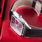 Cartier Santos Dumont Steel WSSA0046 2024