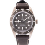 Tudor Black Bay Fifty-Eight 79010SG 2022