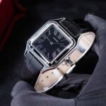 Cartier Santos Dumont Steel WSSA0046 2024