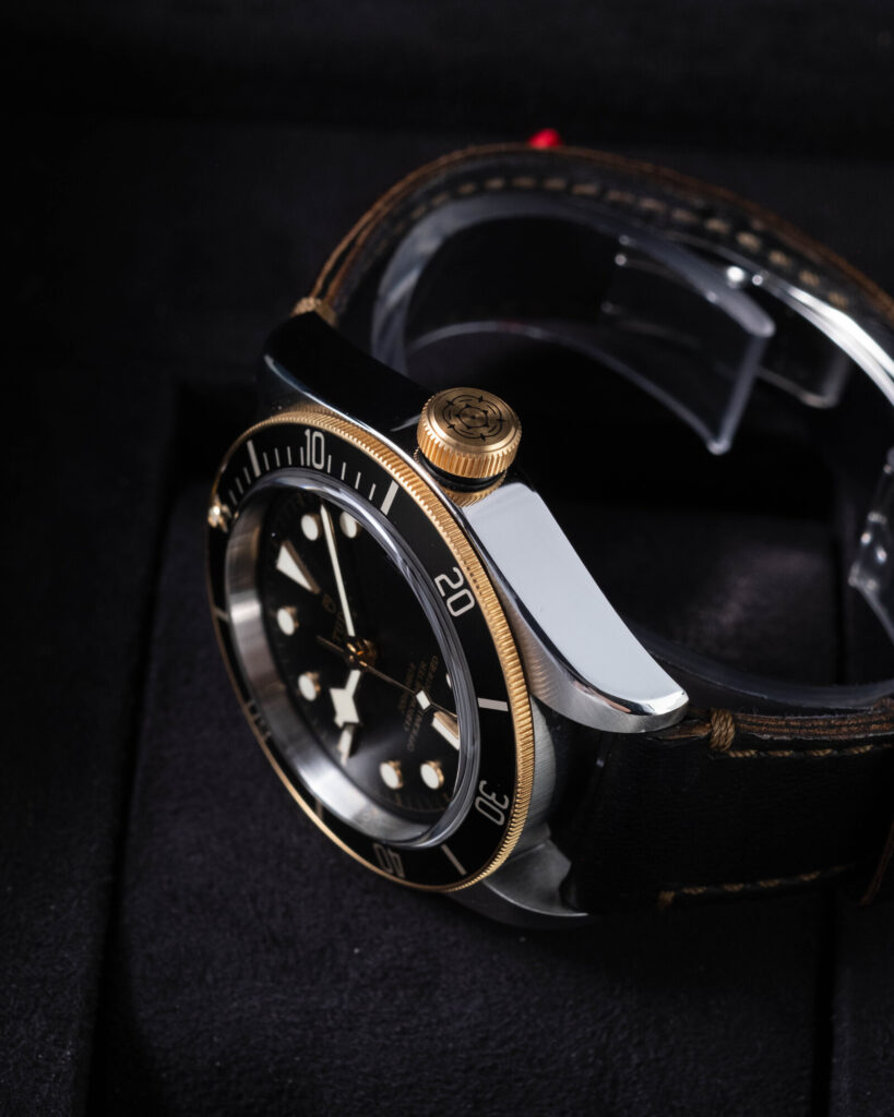 Tudor Black Bay 79733N 2022