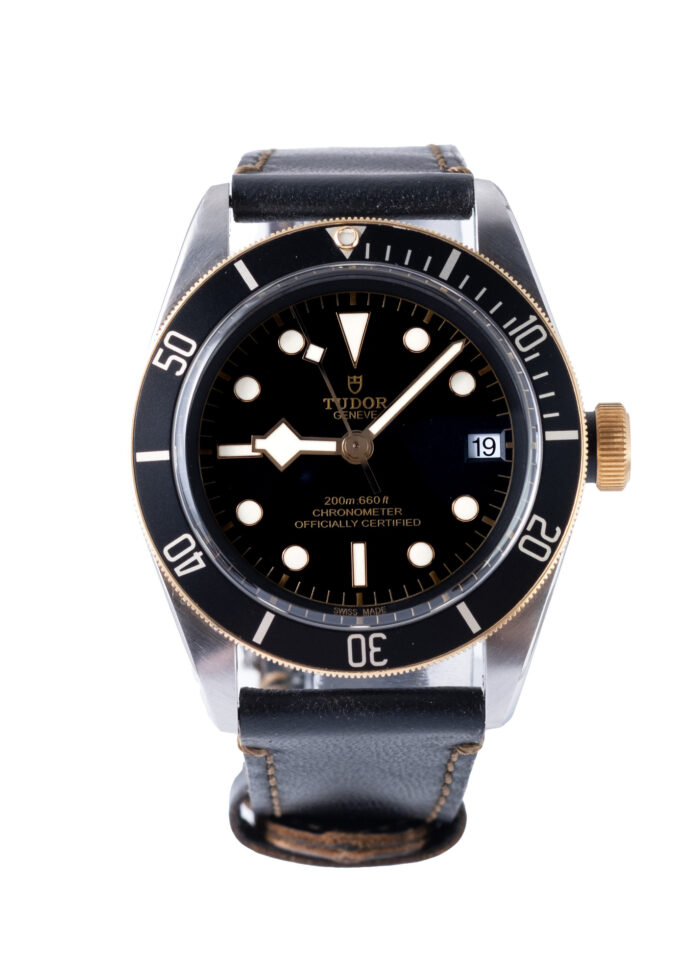 Tudor Black Bay 79733N 2022