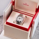 Omega Seamaster Aqua Terra 220.10.34.20.02.001 2023