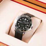 Omega Seamaster 210.32.42.20.10.001 2025