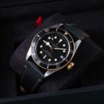 Tudor Black Bay 79733N 2022