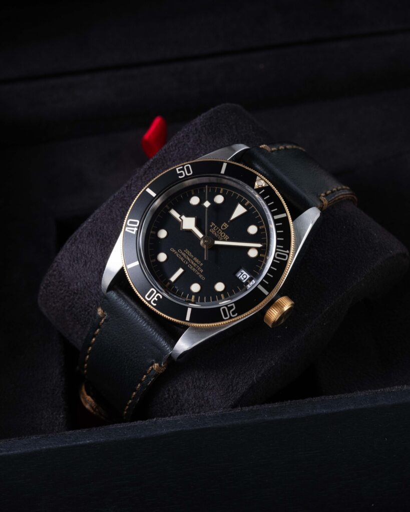Tudor Black Bay 79733N 2022