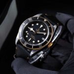 Tudor Black Bay 79733N 2022
