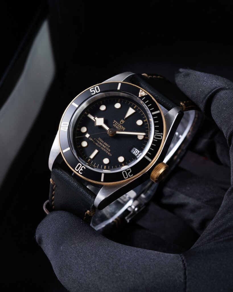Tudor Black Bay 79733N 2022