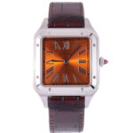 Cartier Santos WGSA0113 2025