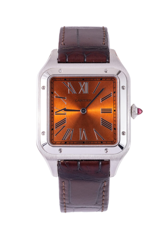 Cartier Santos WGSA0113 2025