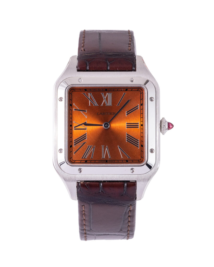 Cartier Santos WGSA0113 2025